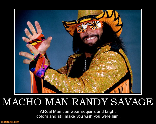 macho-man-randy-savage-macho-man-randy-savage-tribute-demotivational-posters+slim+jim+rip+elizabeth+epic+rap+battles+hall+of+fame.jpeg