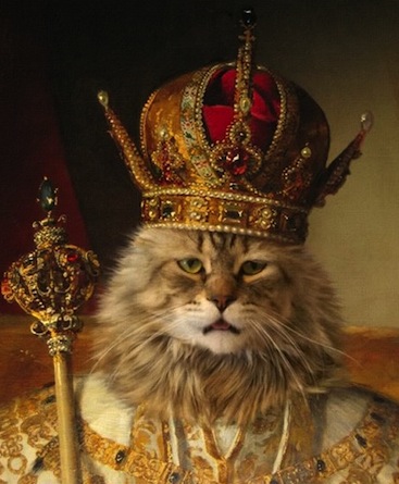 royal-cat.jpg